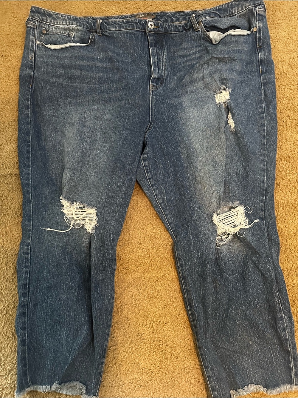 Torrid Distressed Blue Denim Jeans